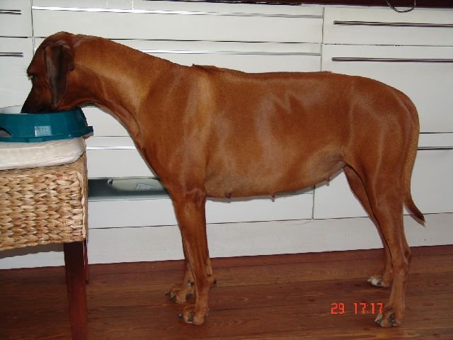 vuana019.jpg