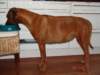 vuana019_small.jpg