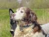 dsc00014_small.jpg