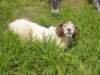 dsc00020_small.jpg