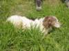 dsc00021_small.jpg