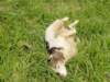dsc00025_small.jpg