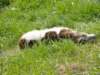 dsc00026_small.jpg
