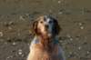 img_1300_small.jpg