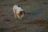 img_1316_small.jpg