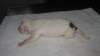 millo_01_small.jpg