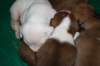 millo_06_small.jpg