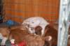 millo_10_small.jpg