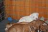 millo_11_small.jpg