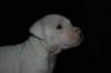 millo_15_small.jpg