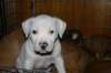 millo_16_small.jpg