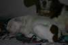 millo_21_small.jpg