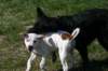 millo_32_small.jpg