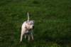 millo_49_small.jpg