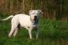 millo_59_small.jpg