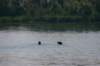 img_9144_small.jpg