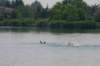 img_9215_small.jpg