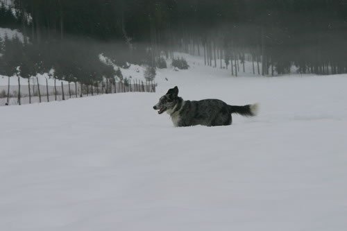 crw_1614_rj_jpg.jpg