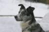 crw_1657_rj_jpg_small.jpg