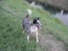 dsc00001_jpg_small.jpg