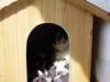 dsc00005_jpg_small.jpg