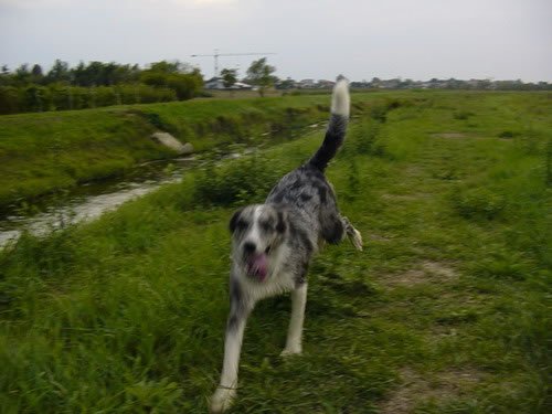 dsc00013_jpg.jpg