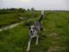 dsc00013_jpg_small.jpg