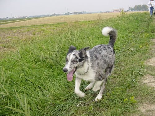 dsc00017_jpg.jpg