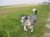 dsc00017_jpg_small.jpg