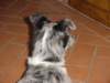 dsc00018_jpg_small.jpg