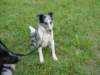 dsc00020_jpg_small.jpg