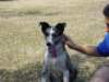 dsc00056_jpg_small.jpg