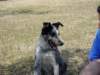 dsc00057_jpg_small.jpg