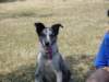 dsc00058_jpg_small.jpg