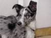 dsc00108_jpg_small.jpg