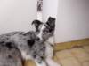 dsc00109_jpg_small.jpg