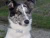 dsc00117_jpg_small.jpg