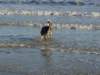 dsc00124_jpg_small.jpg