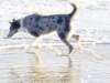 dsc00132_jpg_small.jpg