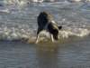 dsc00137_jpg_small.jpg