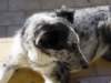 dsc00213_jpg_small.jpg