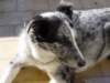 dsc00215_jpg_small.jpg