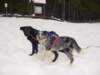 dsc01596_jpg_small.jpg