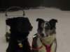 dsc01633_jpg_small.jpg