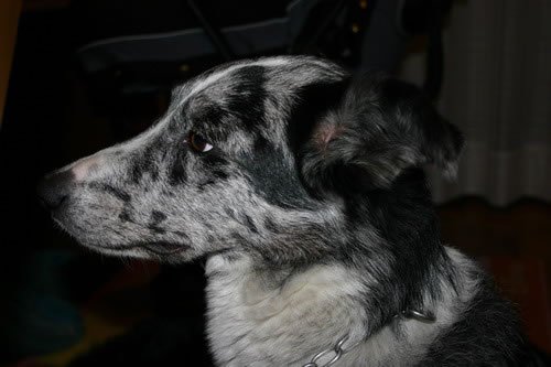 img_0006_jpg.jpg