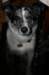 img_1707_jpg_small.jpg