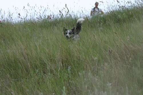 img_1976_jpg.jpg