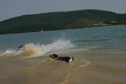 img_2169_jpg.jpg