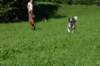 img_3214_jpg_small.jpg