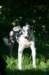 img_3238_jpg_small.jpg
